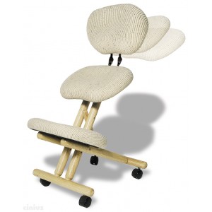Professionelle ergonomischer Stuhl mit Rückenlehne