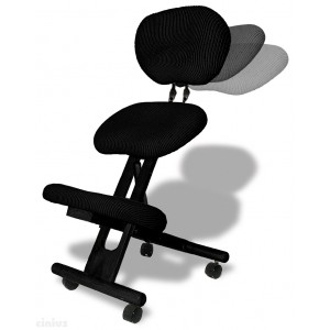 Professionelle ergonomischer Stuhl mit Rückenlehne